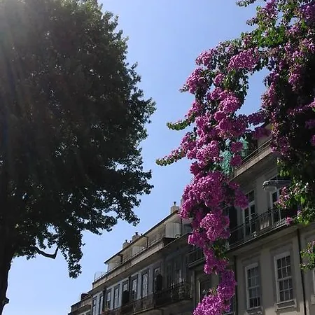 House Cedofeita Ferienhaus
